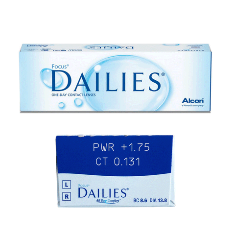 Focus DAILIES